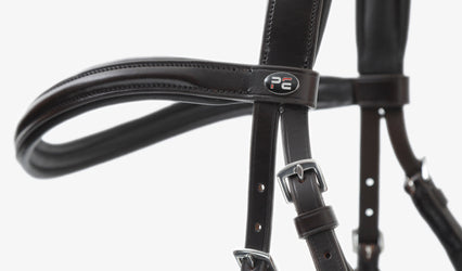 Choosing the Right Bridle